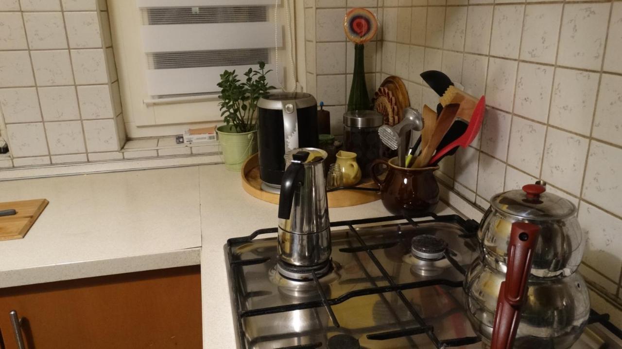 Apartment Wroclaw-traveler Oasis Wroclaw