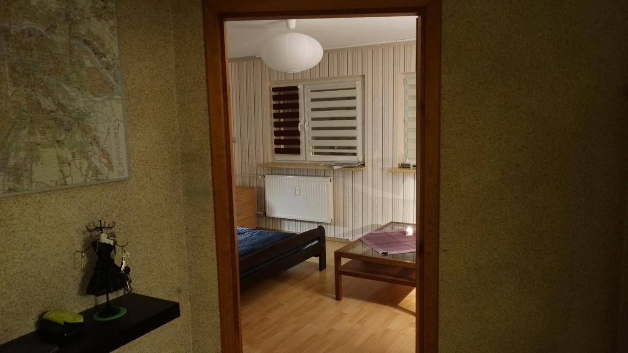 Wroclaw-traveler Oasis